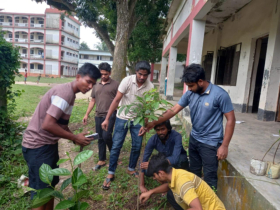 ছাত্রদলের উদ্যোগে সোনারগাঁয়ে বৃক্ষরোপন