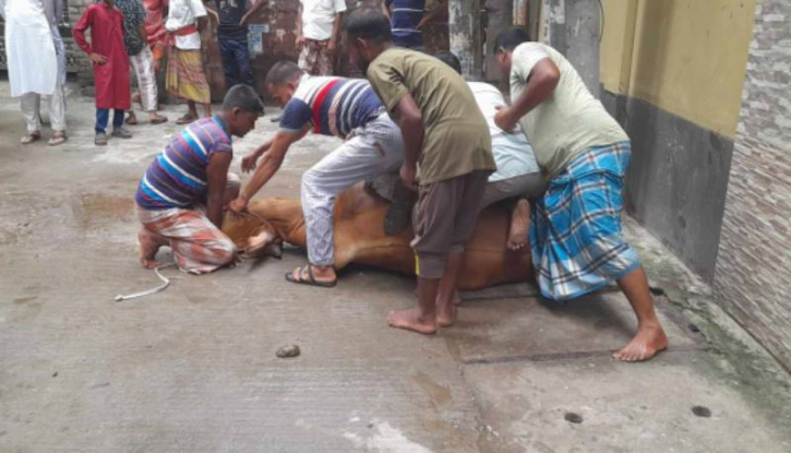 ঈদের তৃতীয় দিনেও হচ্ছে পশু কোরবানি